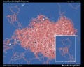 Borrelia burgdorferi agent of Lyme disease